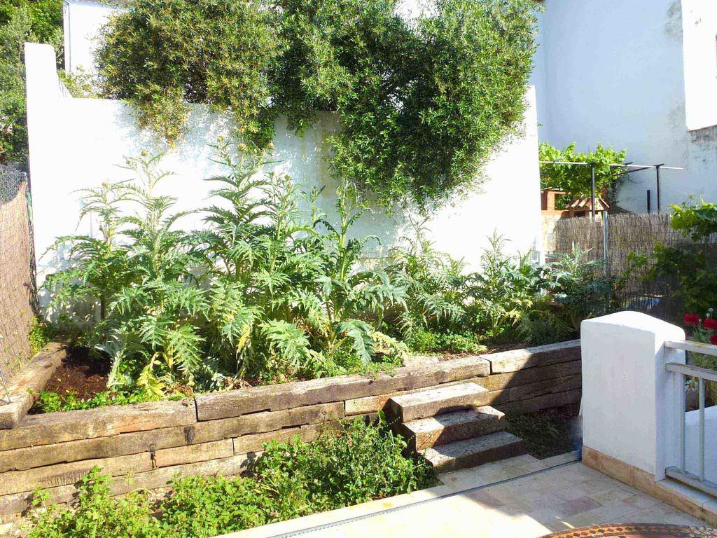 Casa Rural El Aljibe Benamahoma Ngoại thất bức ảnh
